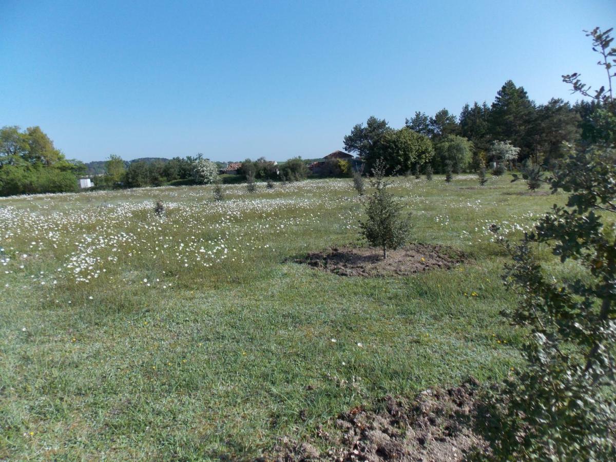 Pensjonat Le Petit Breuil Verteillac Zewnętrze zdjęcie